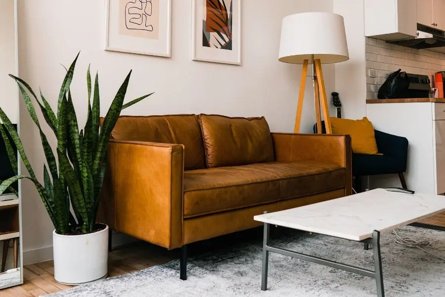 Indoor planter in a living room
